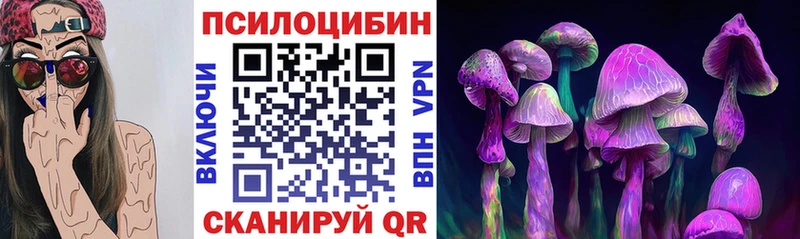 продажа наркотиков  Канск  Галлюциногенные грибы Cubensis 